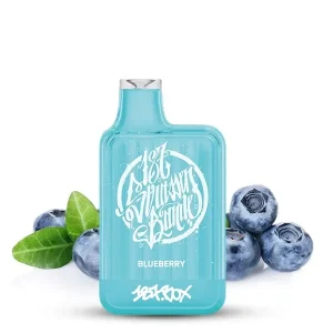 187 Box Blueberry – 20 mg/ml